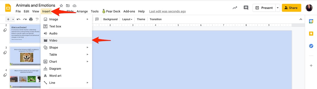 Menu path for inserting a video directly on a slide for Projector view