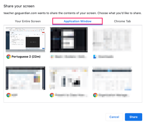 Share Your Screen options: Your Entire Screen, Application Window (selected), Chrome Tab. Choices of open…