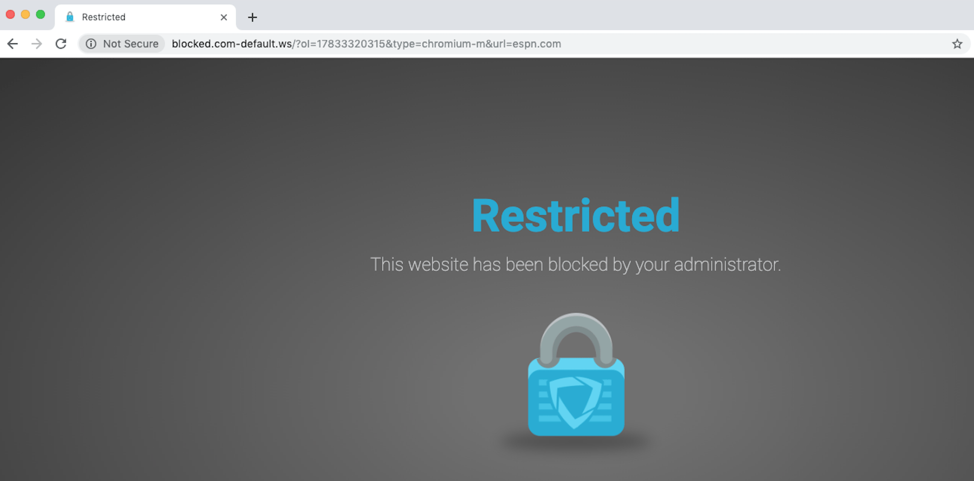'Restricted' GoGuardian DNS block page with a padlock that has the GoGuardian symbol
