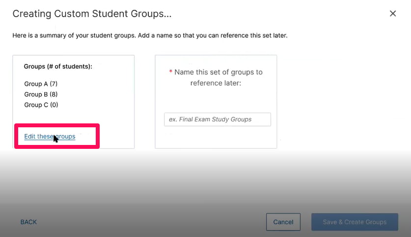 Student Groups summary page highlighting the 'edit' button for editing the group