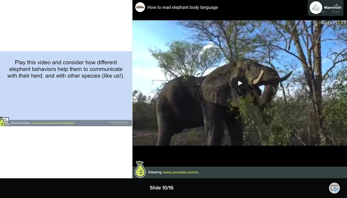 Student view of slide with embedded video