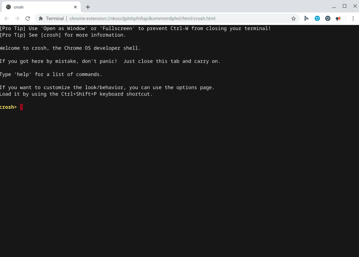 The CROSH Terminal as seen on a Chromebook