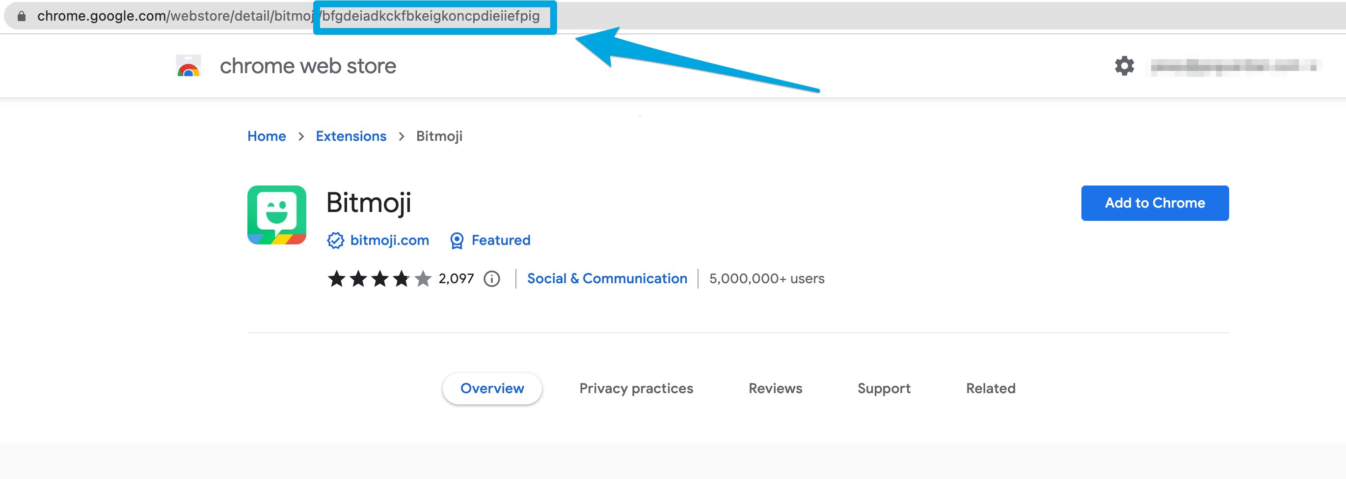 An extension page in the Chrome Web Store highlighting copying the app ID in the URL