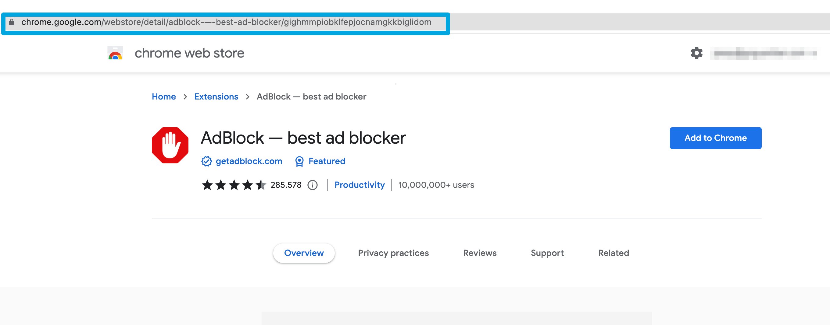 An extension page in the Chrome Web Store highlighting copying the full URL