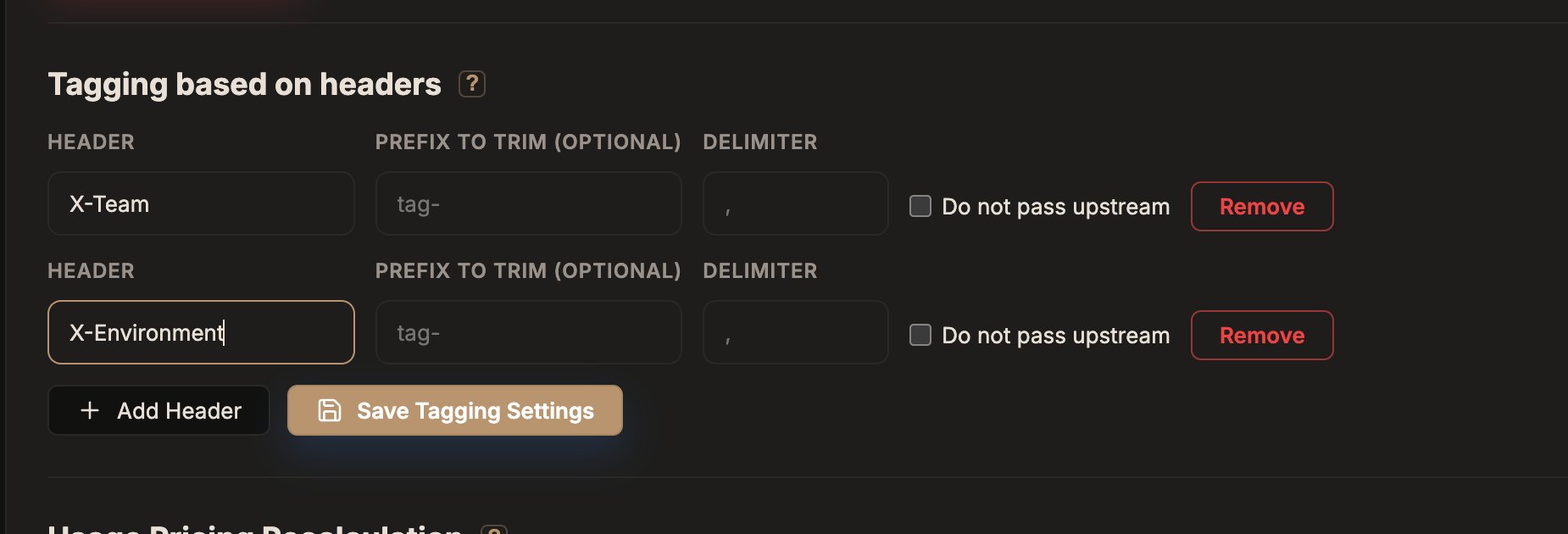 GoModel dashboard Settings page Tagging based on headers form with two header rows (X-Team, X-Environment) and prefix, delimiter, and do-not-pass-upstream fields