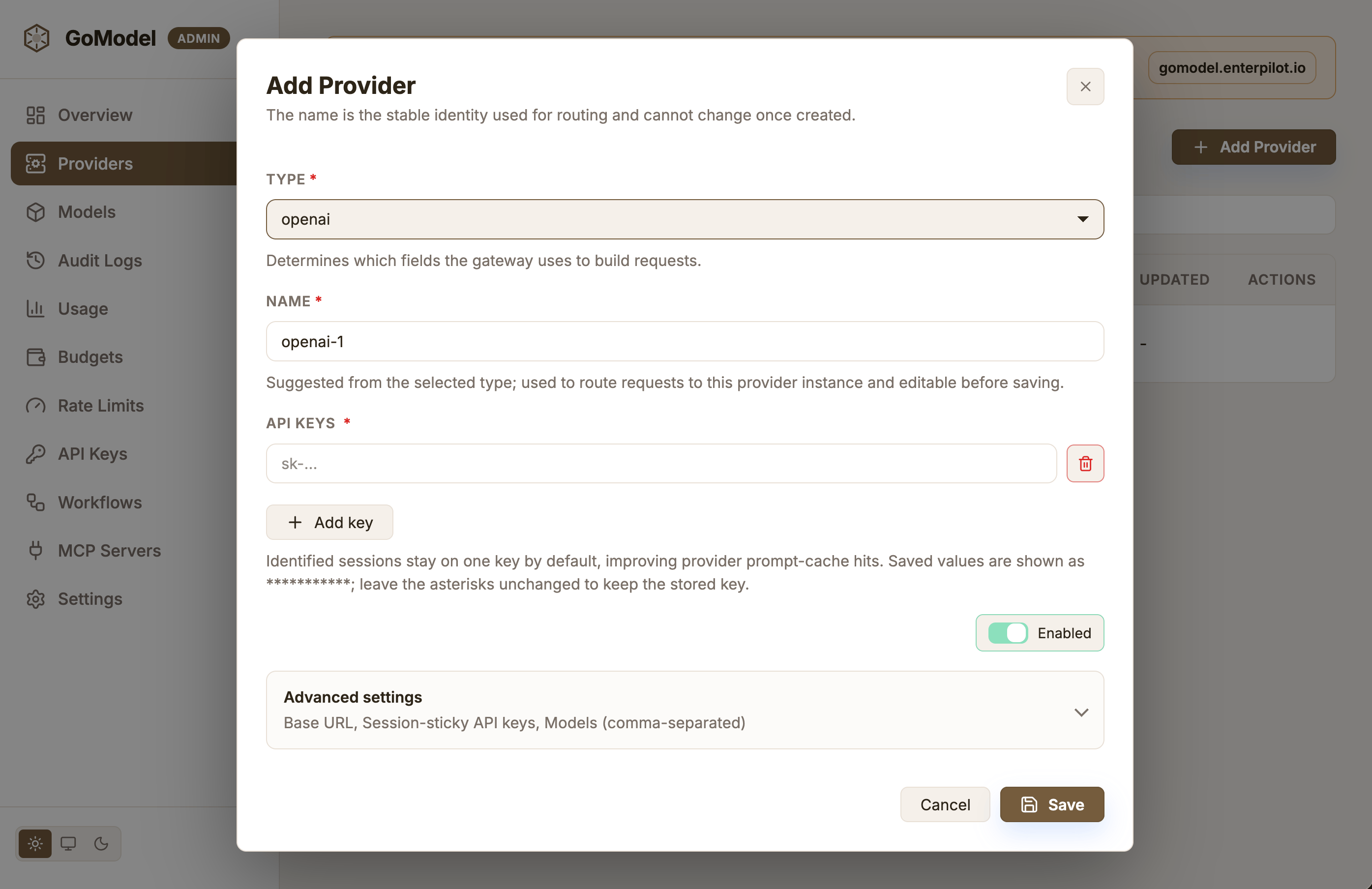 Add Provider dialog in the GoModel dashboard