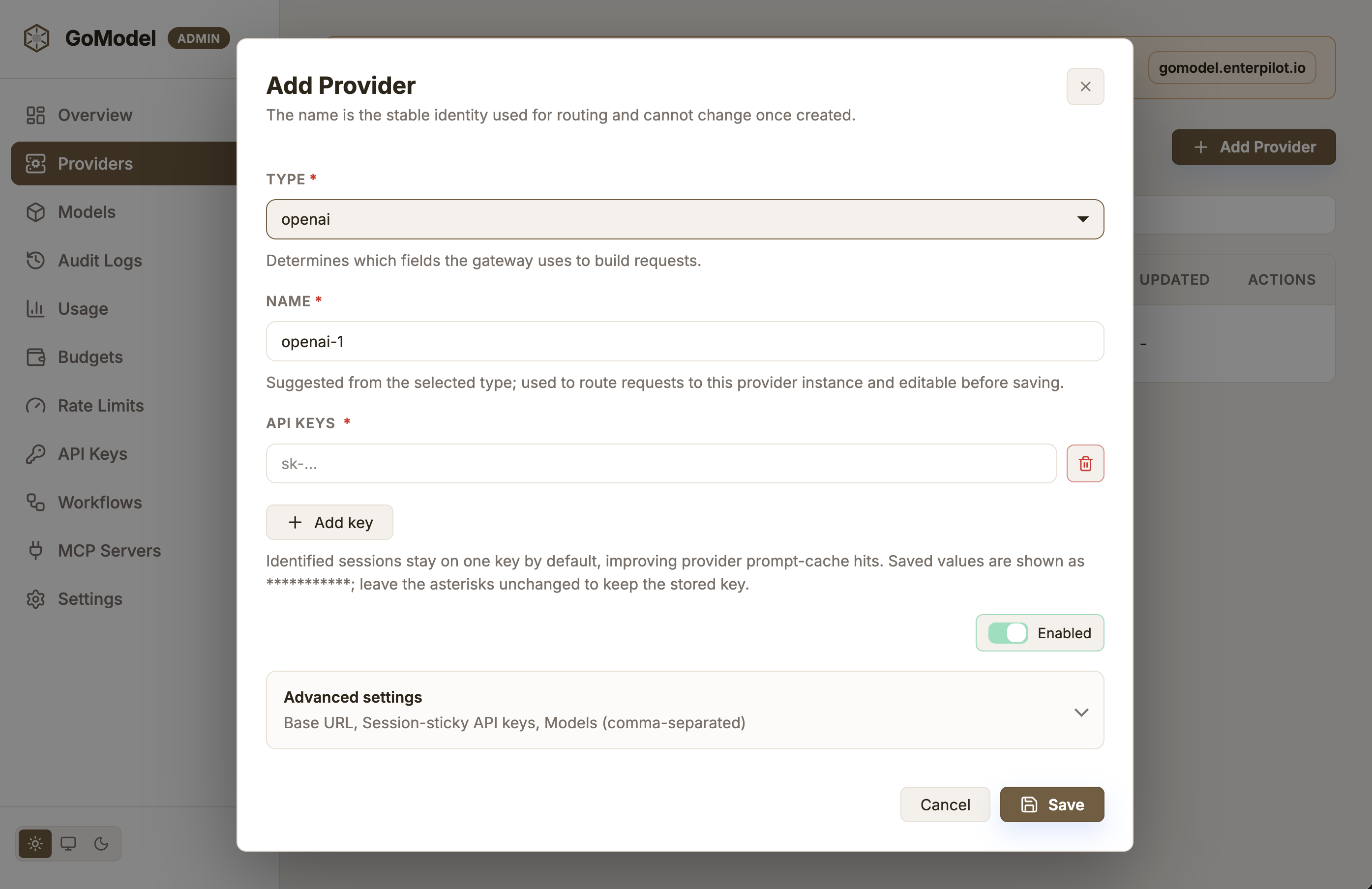 Add Provider dialog in the GoModel dashboard