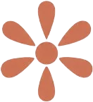 light logo
