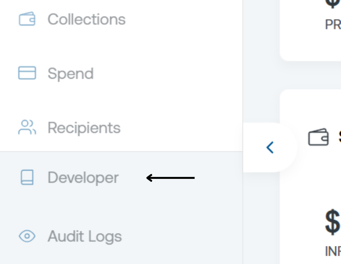 Developer Tab Screenshot