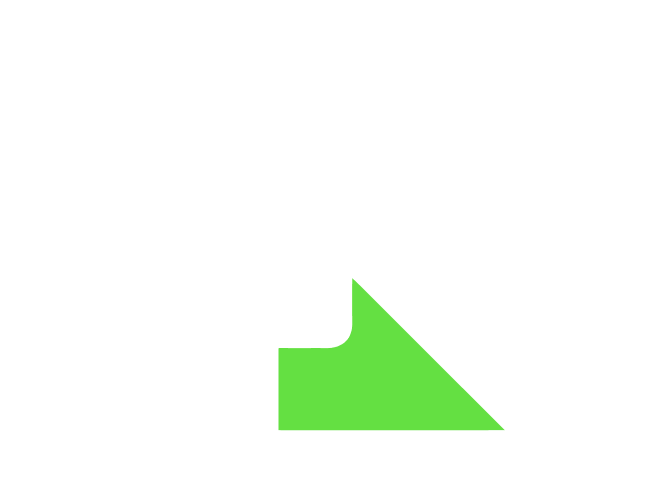 light logo