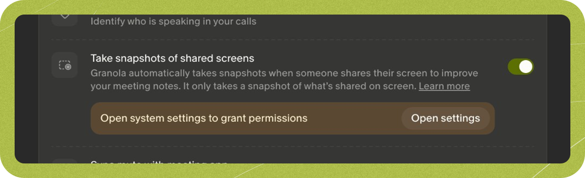 Take snapshots of shared screens turned on in Settings > Preferences. A banner says Open system settings to grant permissions, with an Open settings button.