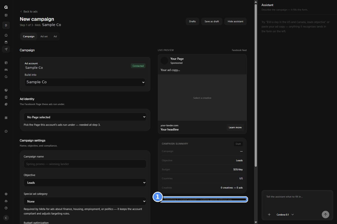New campaign wizard with a live ad preview and campaign summary