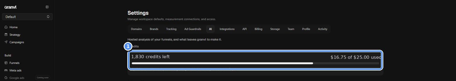 Settings AI tab showing the credit pool and usage breakdown