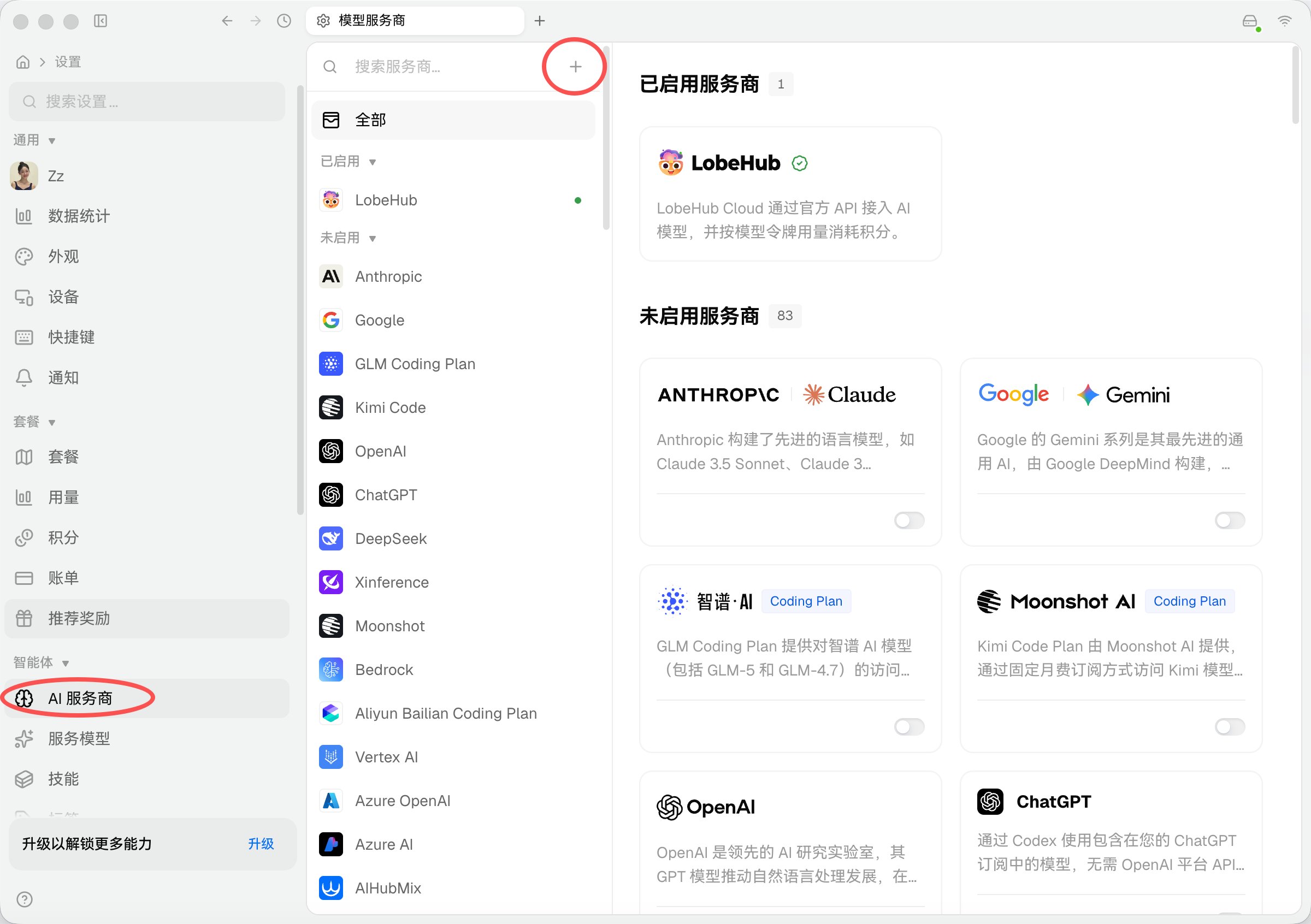 打开 LobeHub 设置并添加自定义服务商