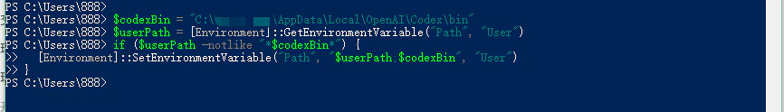 Append Codex to user PATH