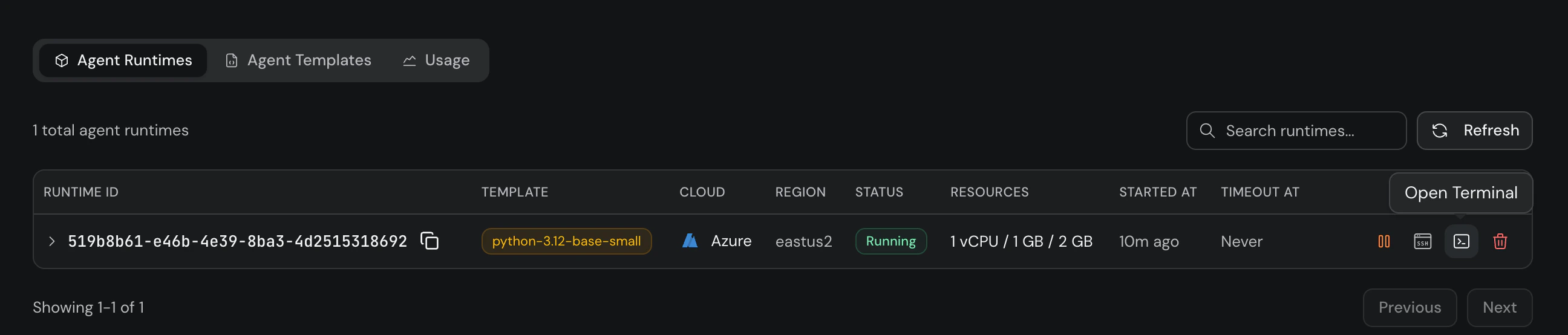 Agent Runtimes dashboard showing the web terminal action button