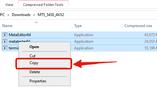 Mt5copy