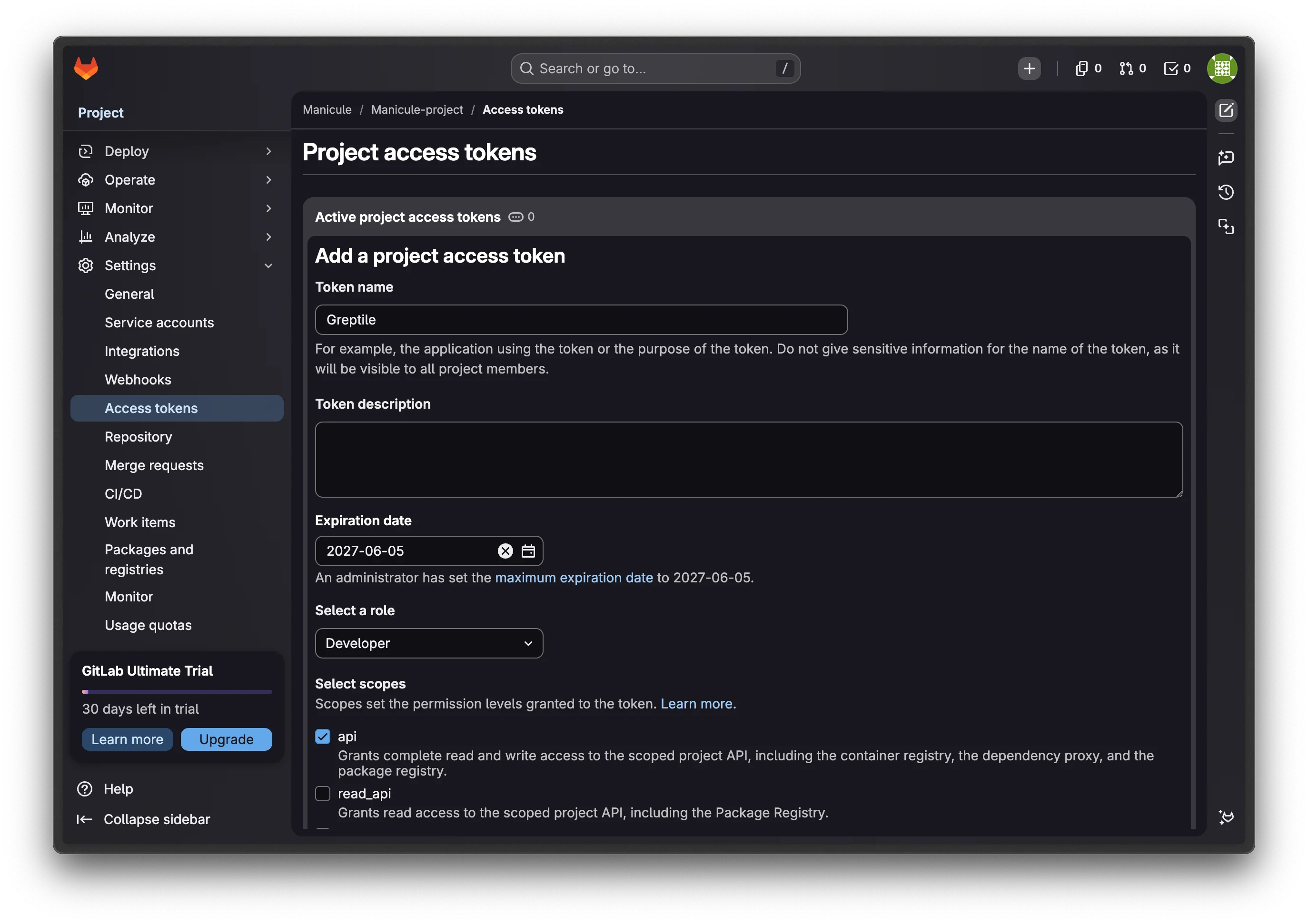 GitLab project access token form with Developer role and api scope selected
