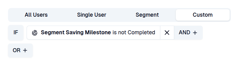 Target audience custom rule