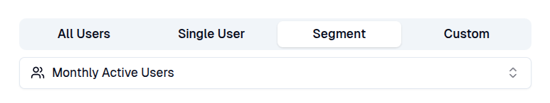 Target audience segment