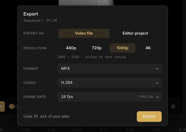 Export dialog with Video file selected, showing resolution, format, codec, and frame rate options