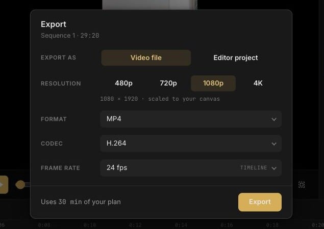 Export dialog with Video file selected, showing resolution, format, codec, and frame rate options