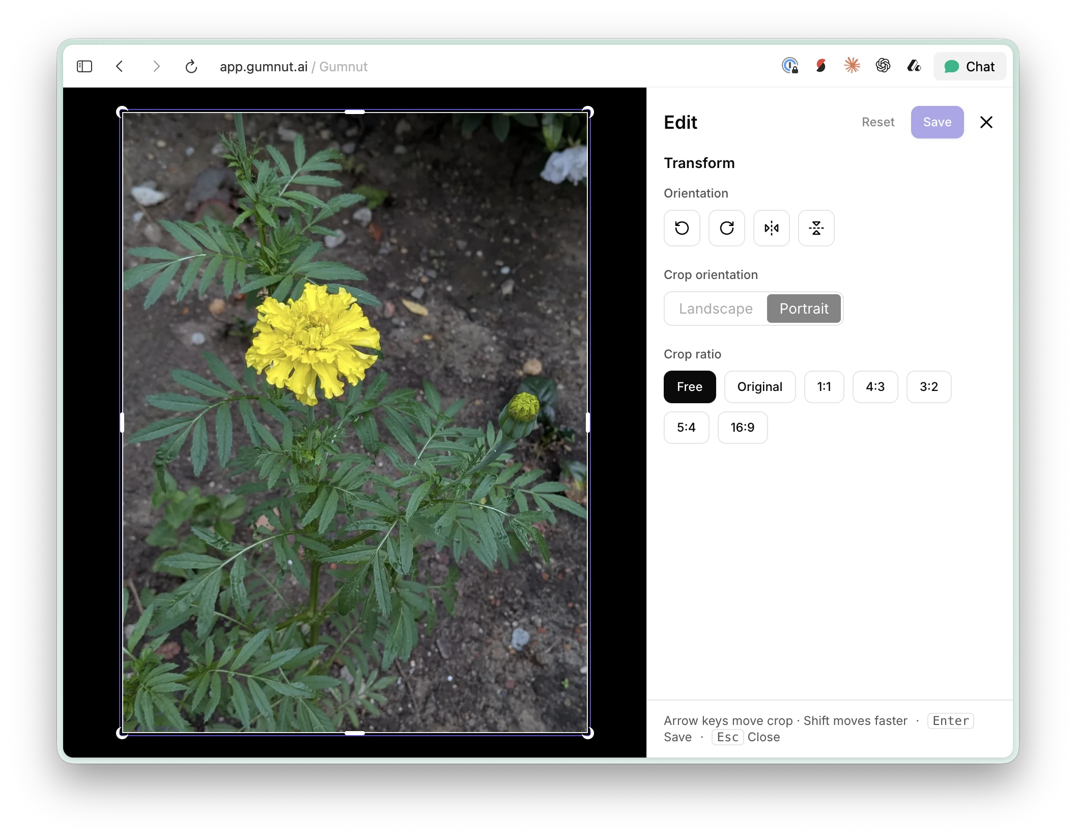 Gumnut web editor with a crop box, orientation controls, crop ratios, and Save button