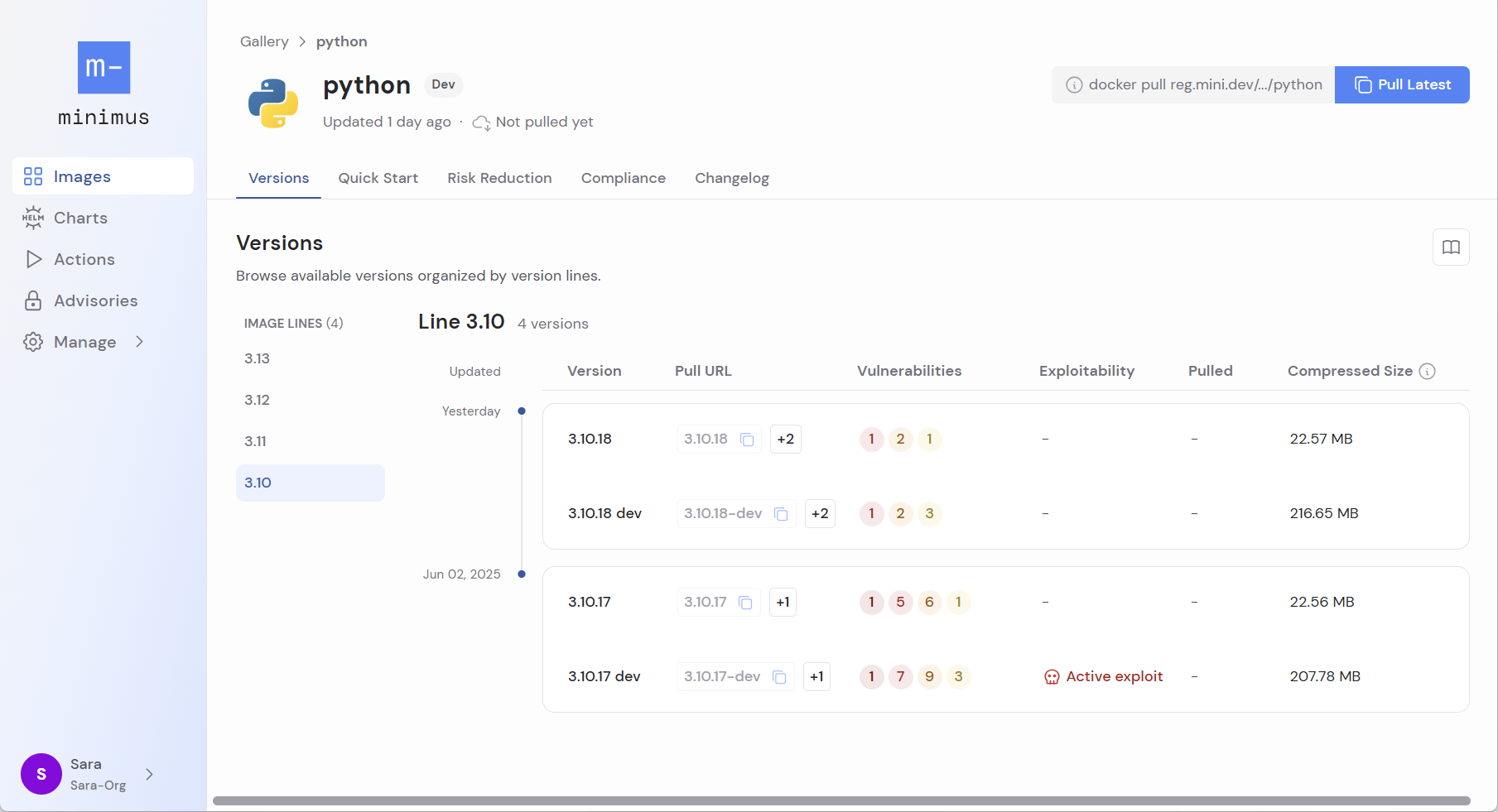 Python Version Updates
