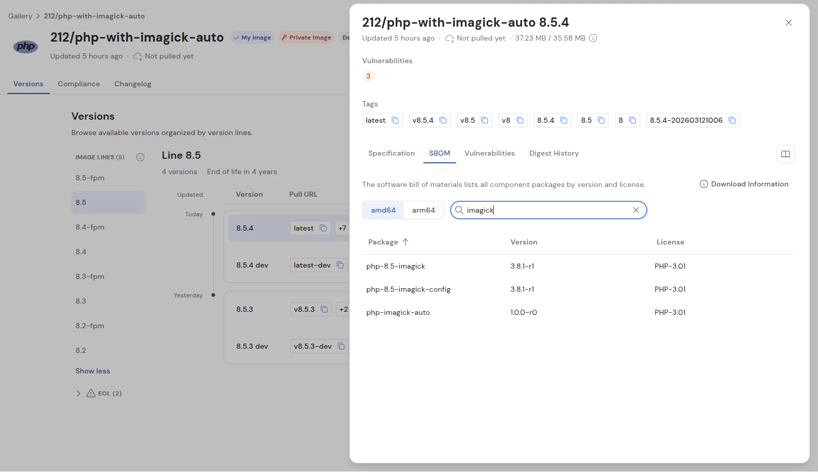 Auto Version Package Example