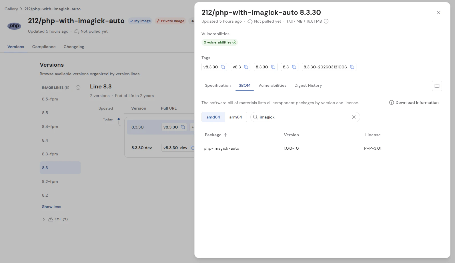 Auto Versionpackageskipped