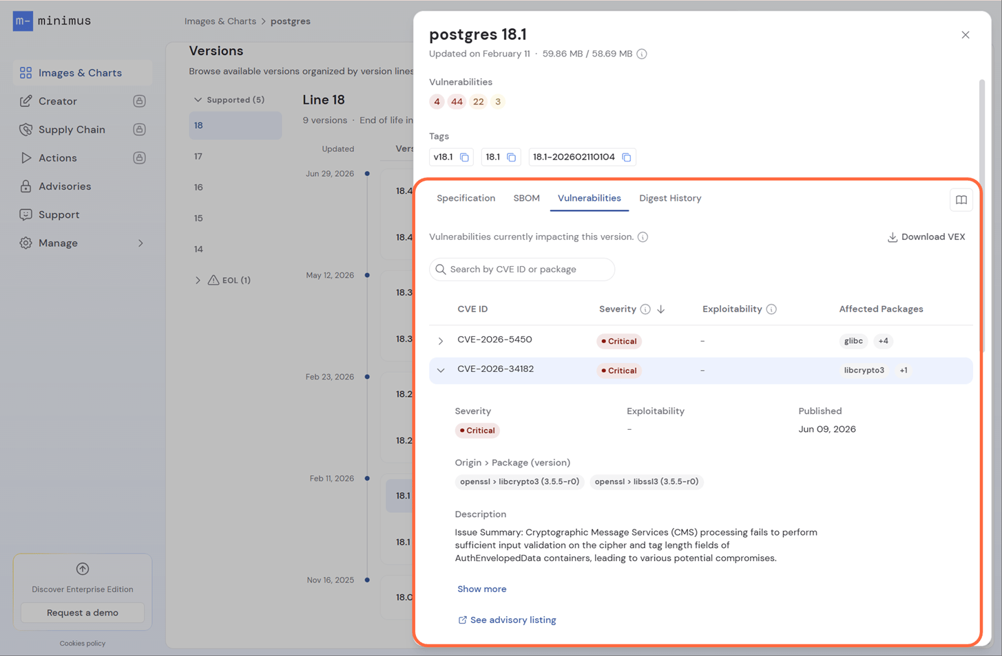 Postgres Vulnerabilities Report