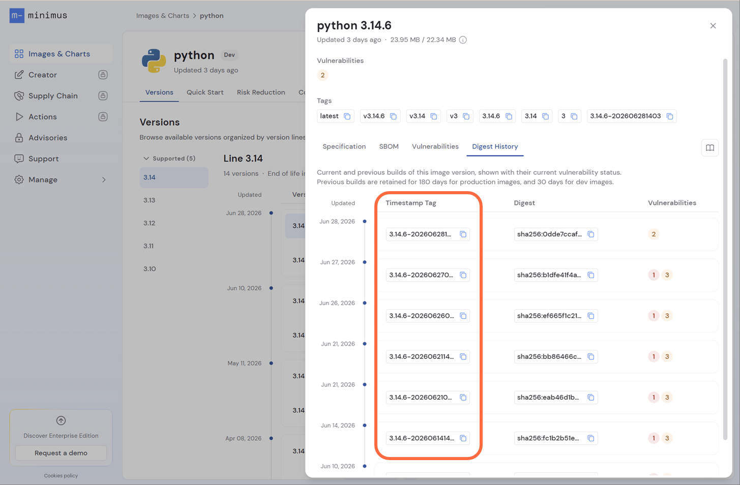 Python Timestamp Tag