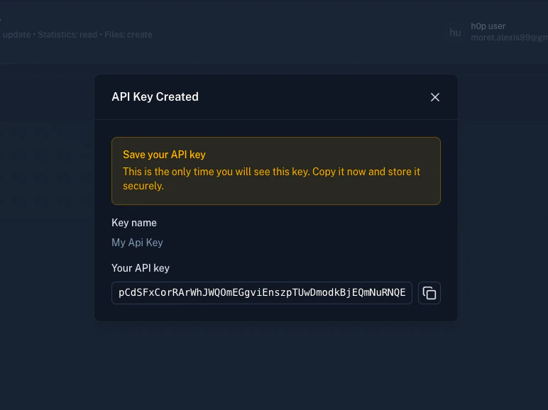 Copy and store your API key
