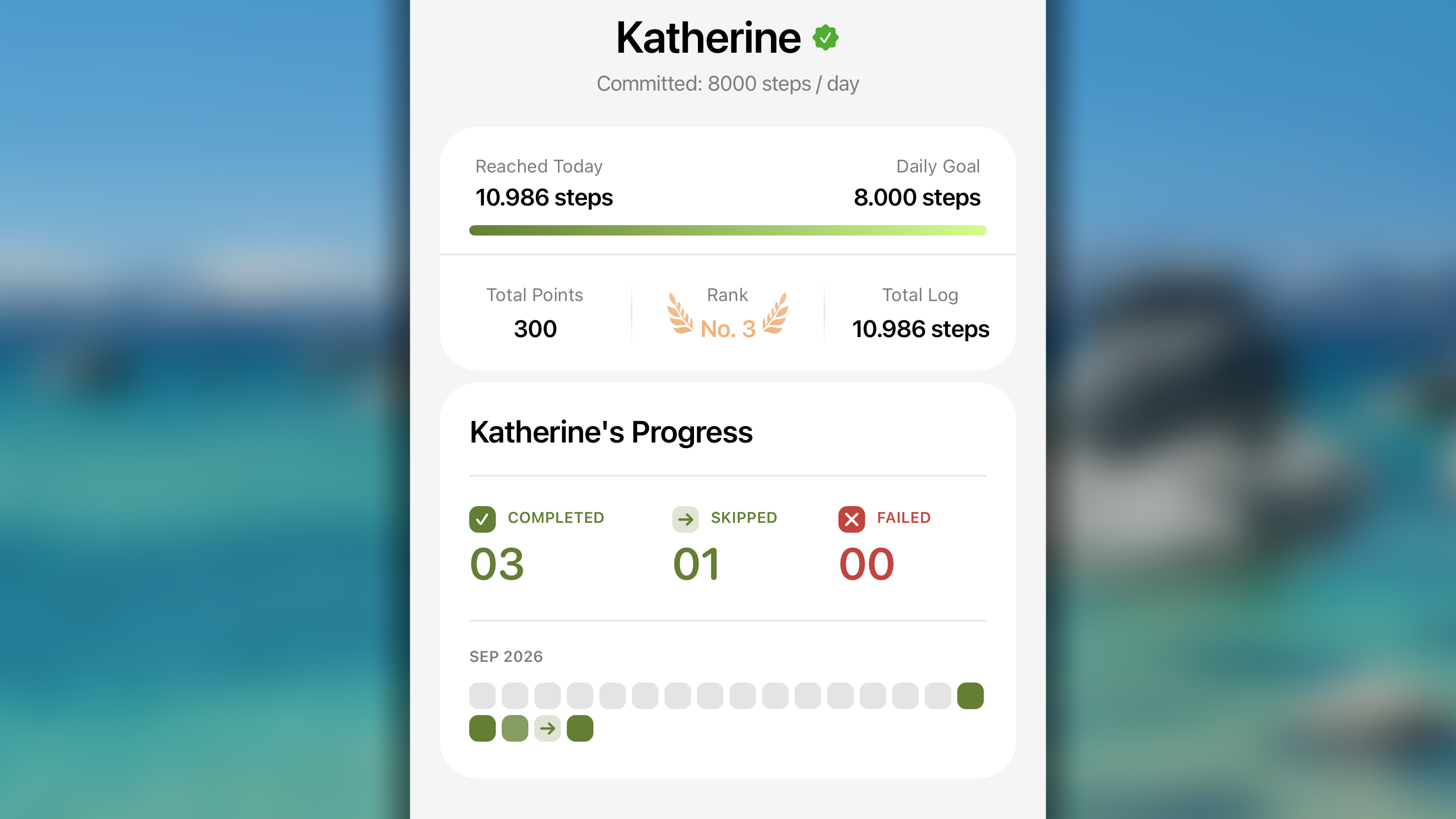 Challenge Personal Progress 1