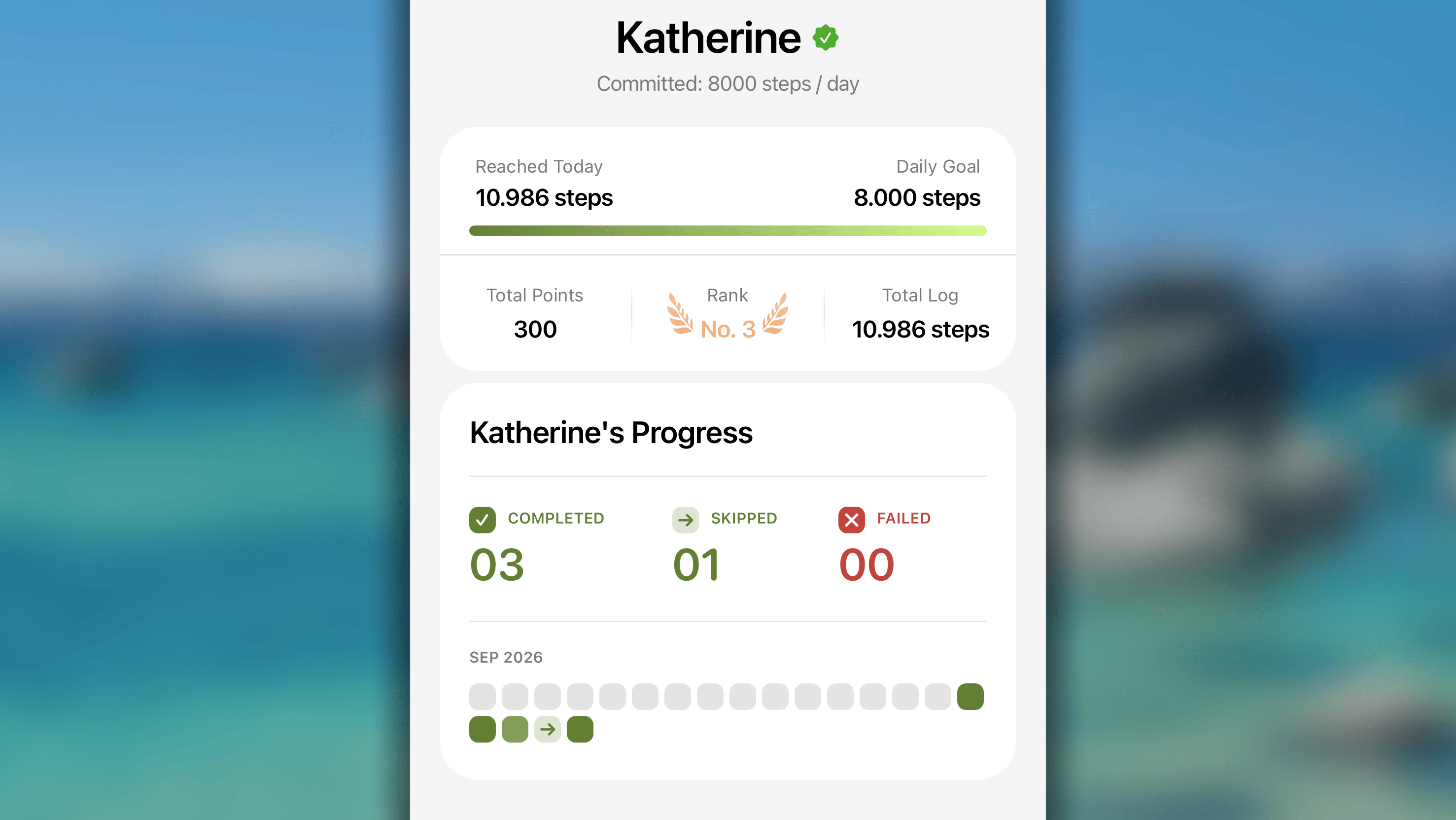 Challenge Personal Progress 1