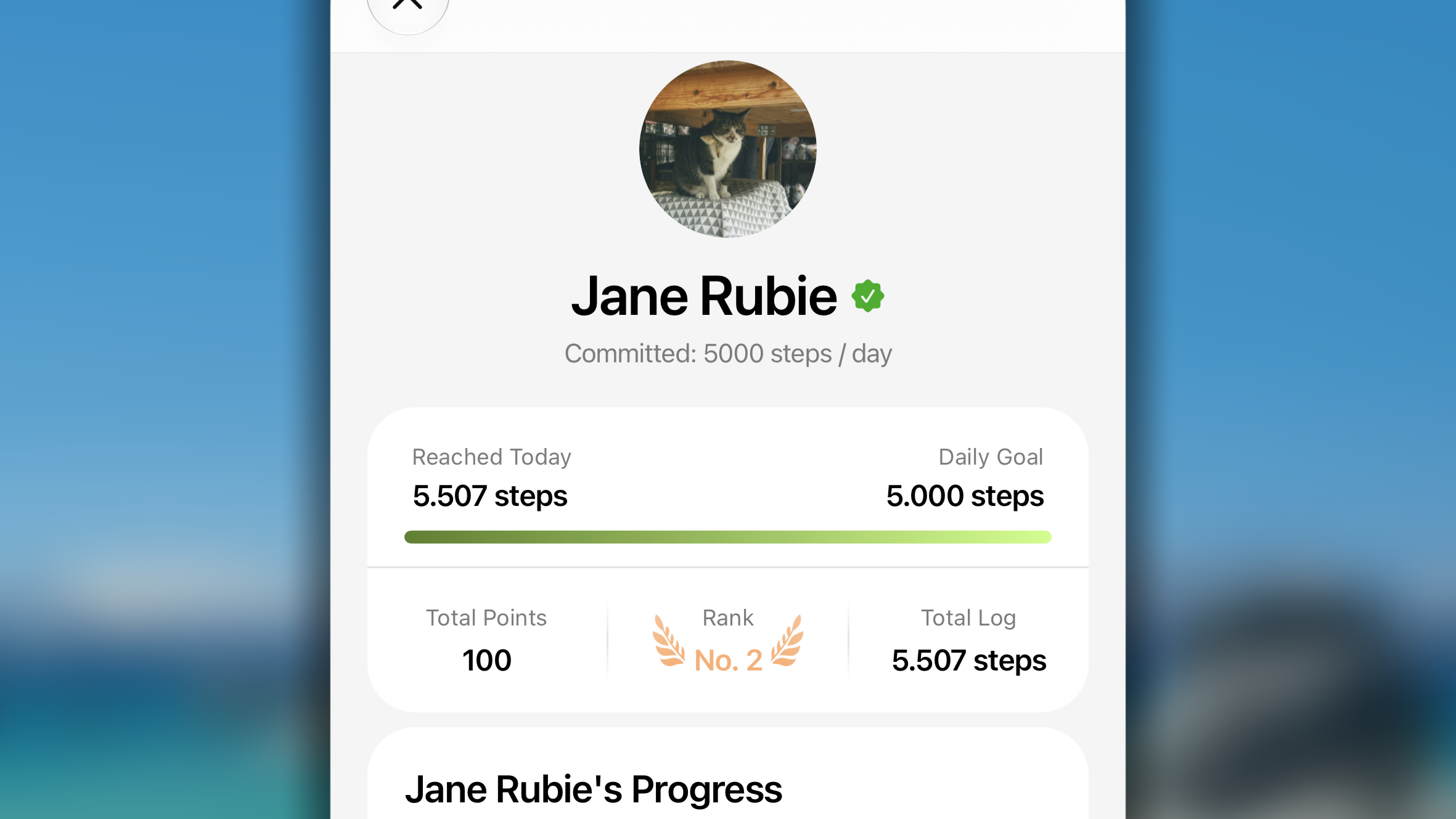 Challenge Personal Progress1