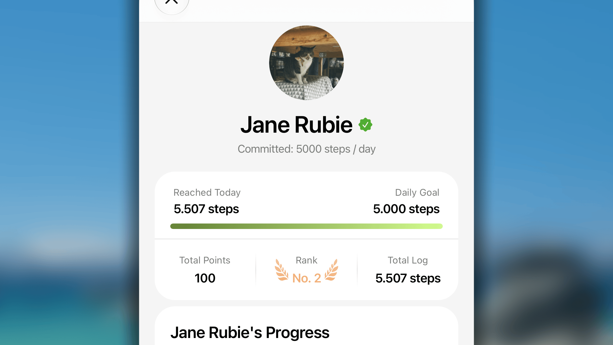 Challenge Personal Progress1