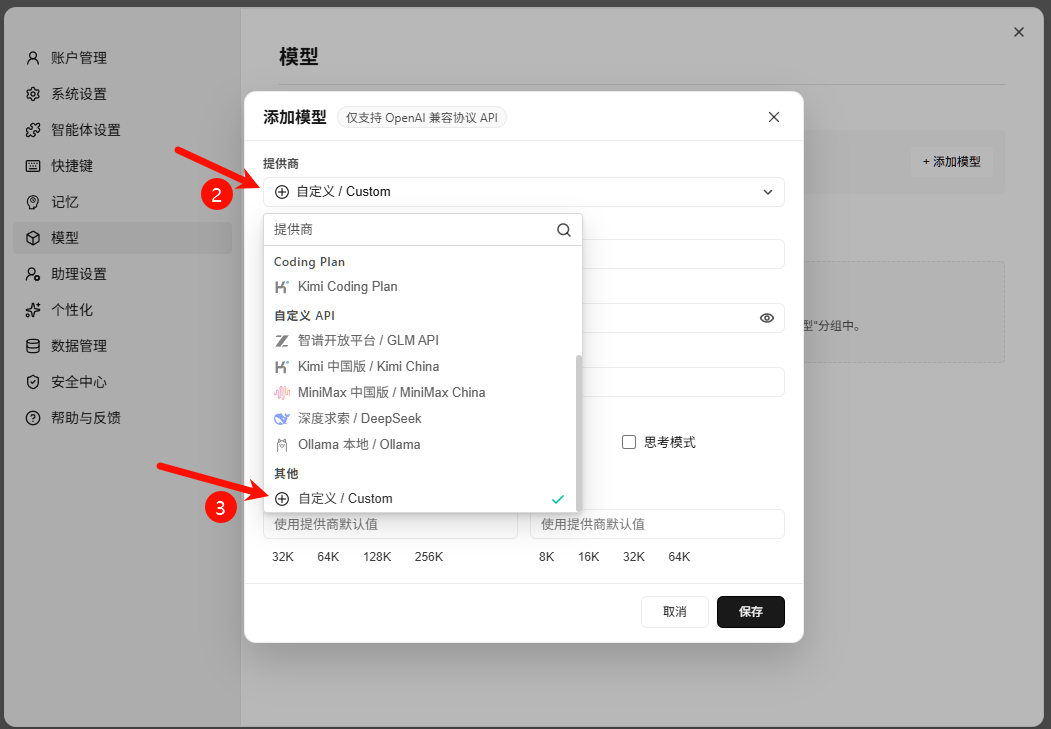 选择自定义 Provider