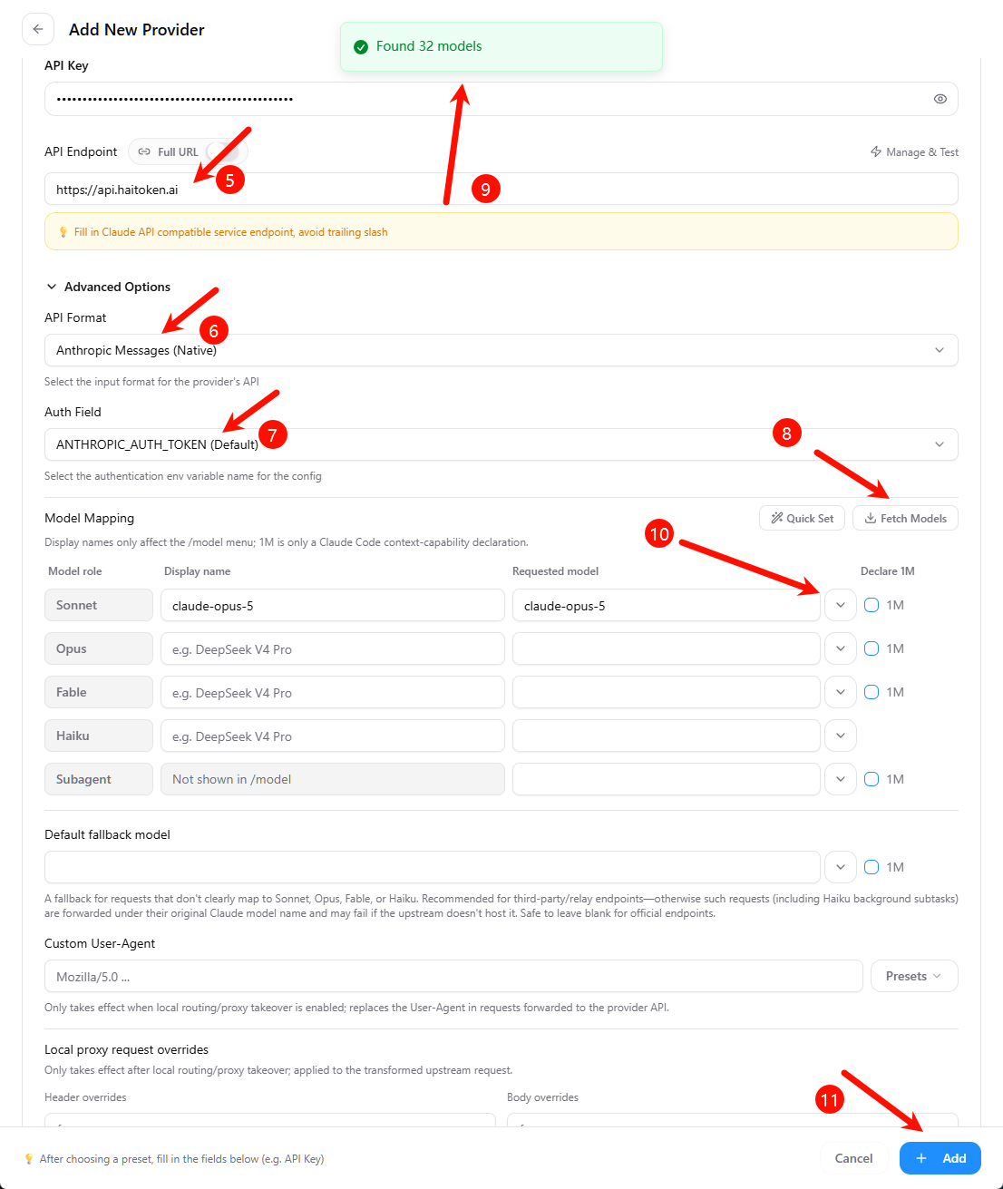 Set the endpoint, protocol, authentication field, and model mapping