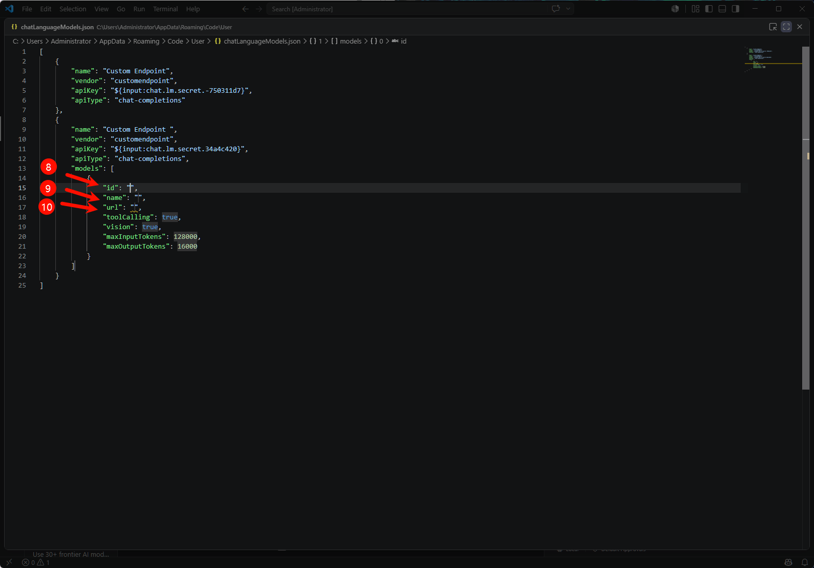 编辑 chatLanguageModels.json 配置文件