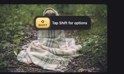 Dragging a photo of a pug: a Shift key hint, “Tap Shift for options”, appears over it