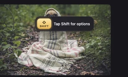 Dragging a photo of a pug: a Shift key hint, “Tap Shift for options”, appears over it