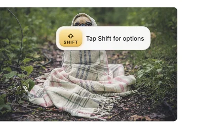Dragging a photo of a pug: a Shift key hint, “Tap Shift for options”, appears over it