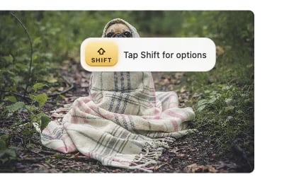 Dragging a photo of a pug: a Shift key hint, “Tap Shift for options”, appears over it