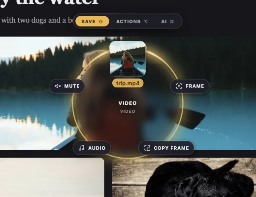 The Save ring for a video: Video, Frame, Copy frame, Audio, Mute