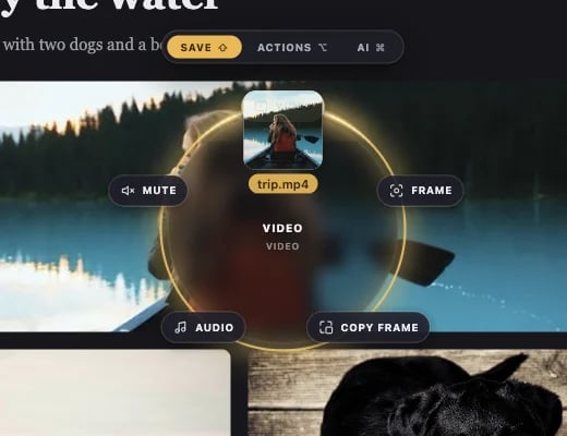 The Save ring for a video: Video, Frame, Copy frame, Audio, Mute