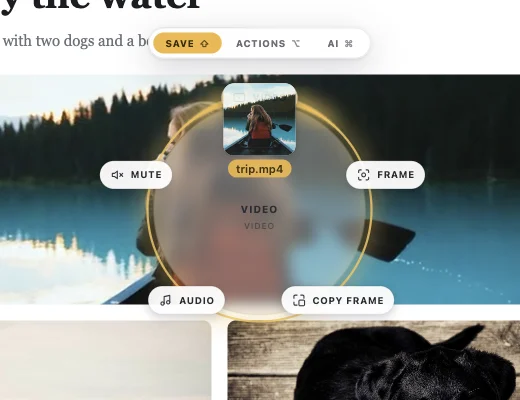 The Save ring for a video: Video, Frame, Copy frame, Audio, Mute
