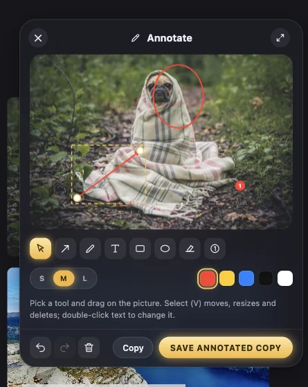 The Annotate window: an arrow (selected, with its handles), a circle and a numbered step on a photo