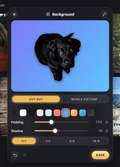 The Background window: the puppy, cut out on this computer, on a blue gradient with a shadow