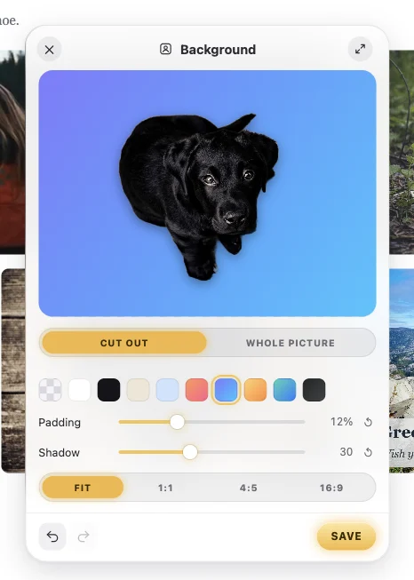 The Background window: the puppy, cut out on this computer, on a blue gradient with a shadow